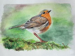 Robin watercolour